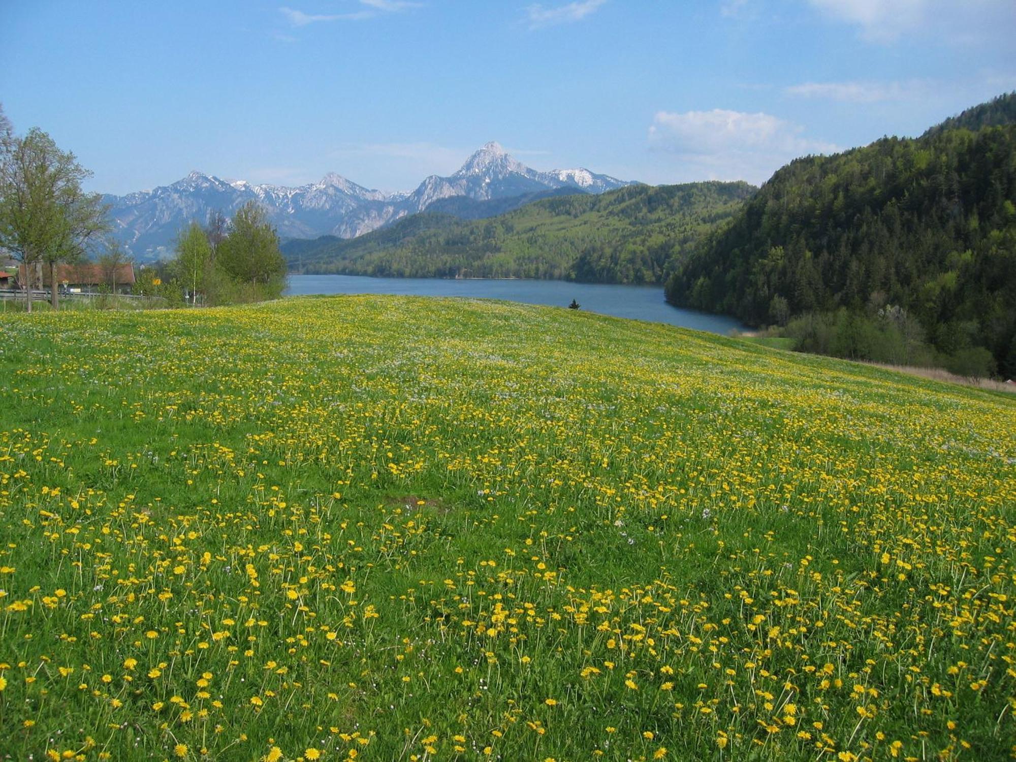 Steigmuehle Pension Garni Фюссен Экстерьер фото